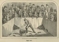&ldquo;Rat Pit,&rdquo; Edward H. Savage. Police Recollections; or Boston by Daylight and Gaslight. Boston: John P. Dale & Co., 1873.